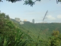 The Peak